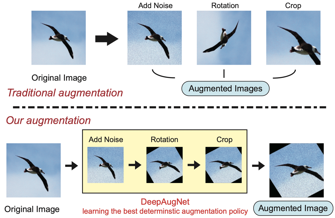 Automatic data augmentation by learning the deterministic policy
